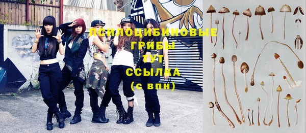 экстази Бородино