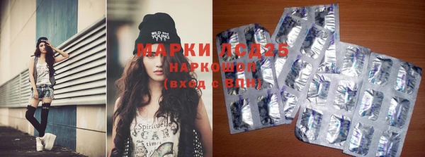 экстази Бородино
