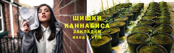 экстази Бородино