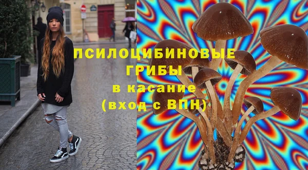 экстази Бородино